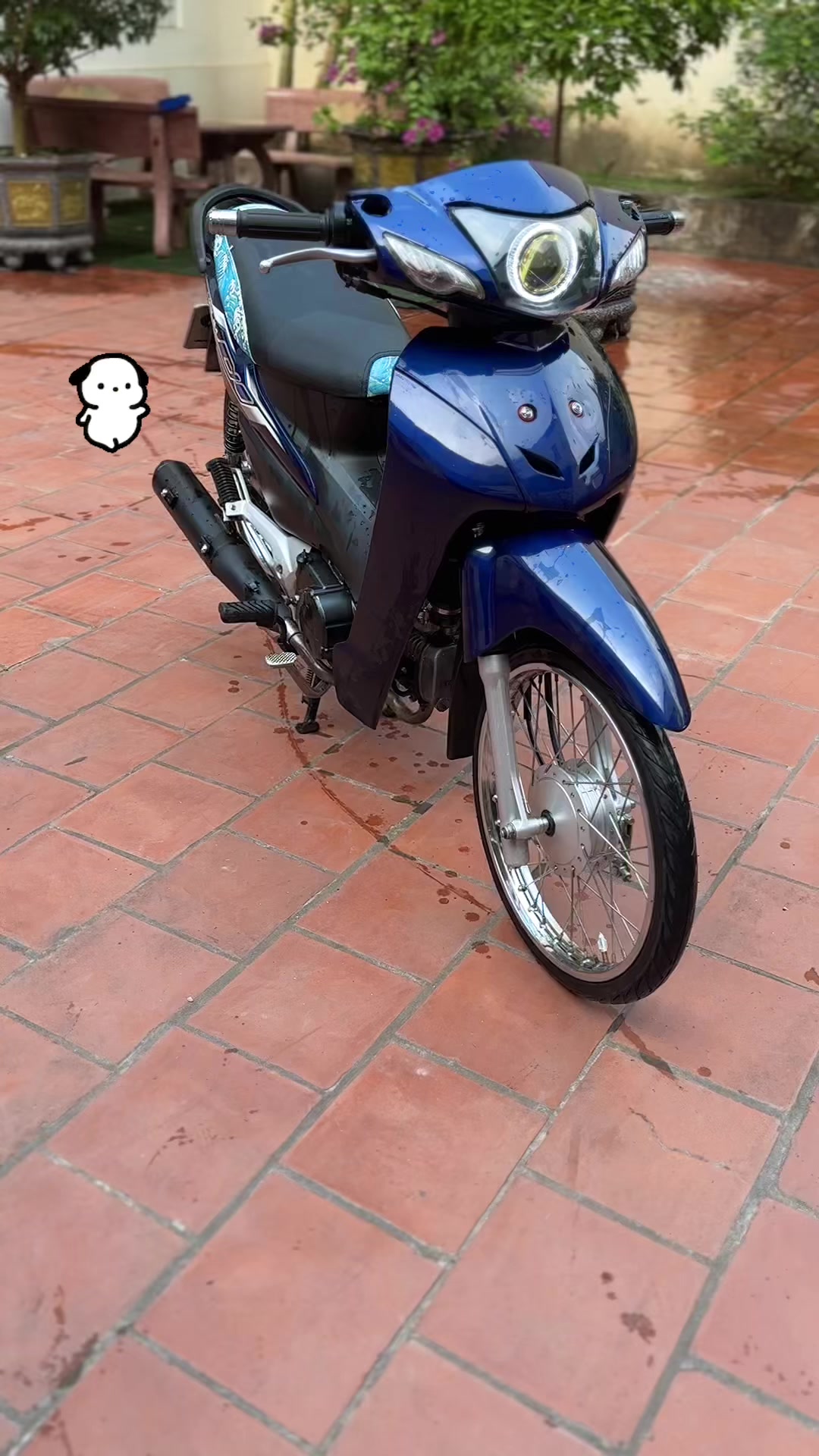@Nguyen Bao Nam