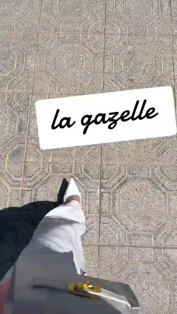 @Gazelle Eleulma
