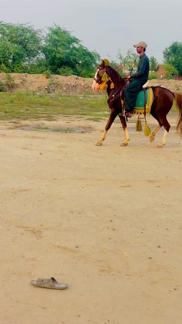@Rai Usman