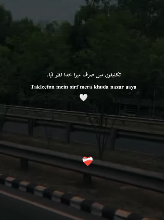 @Anamika 🖤