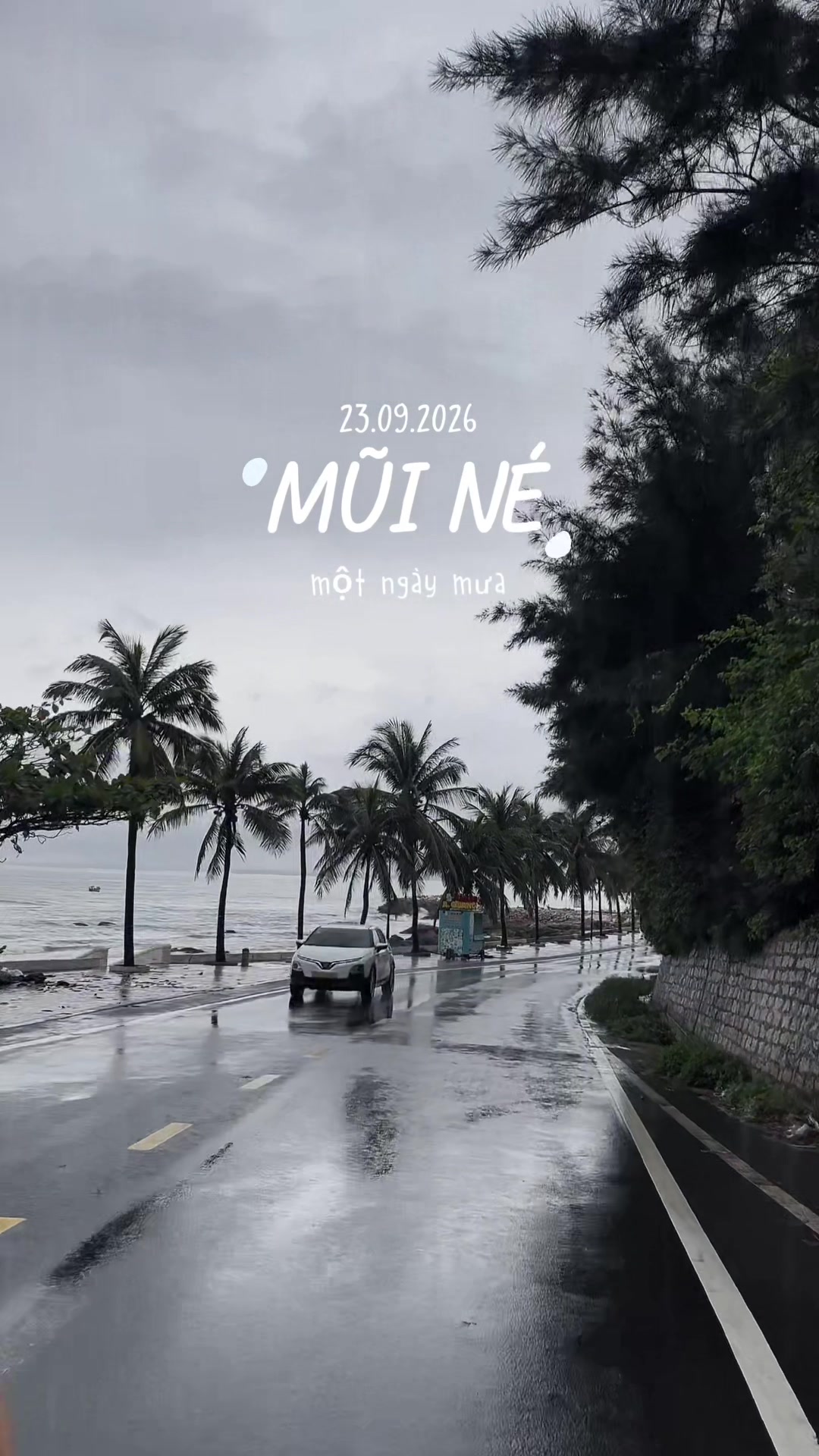 @Tòn chụp ảnh Phan Thiết