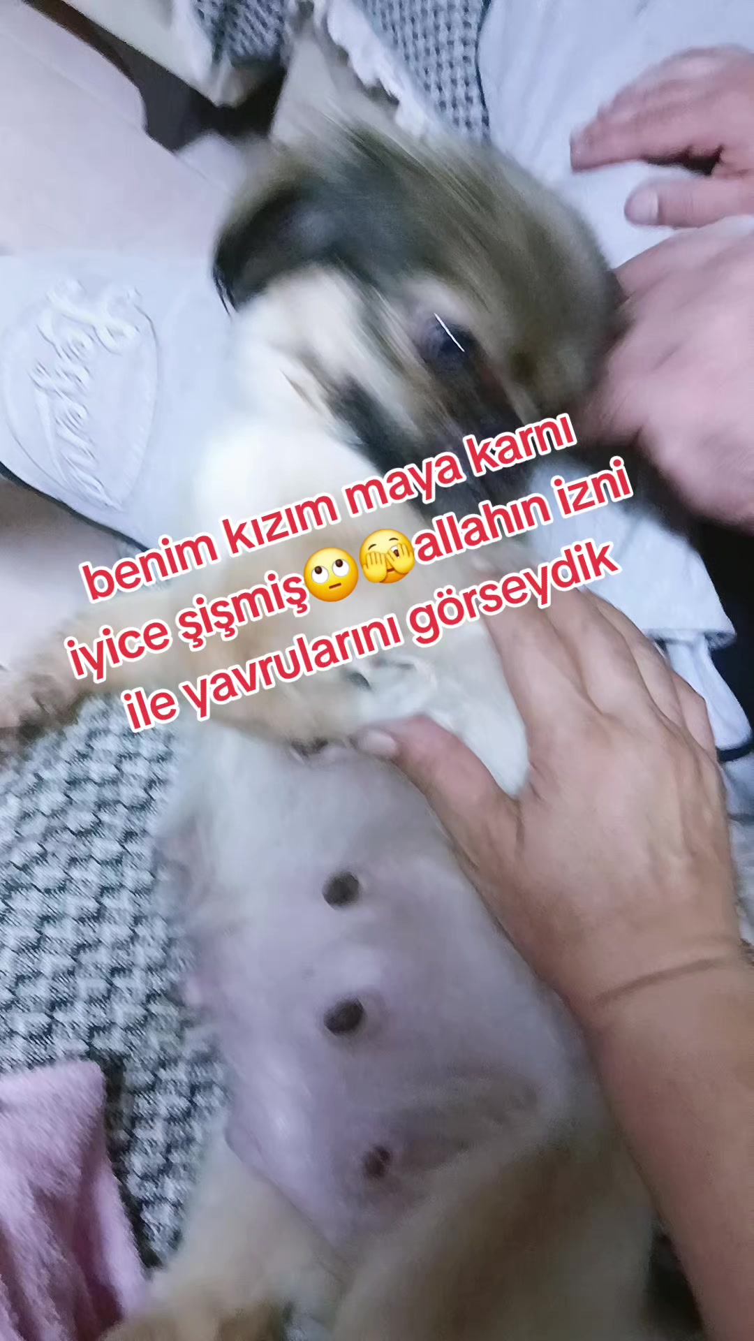 @Elif yeşilbaş karacan