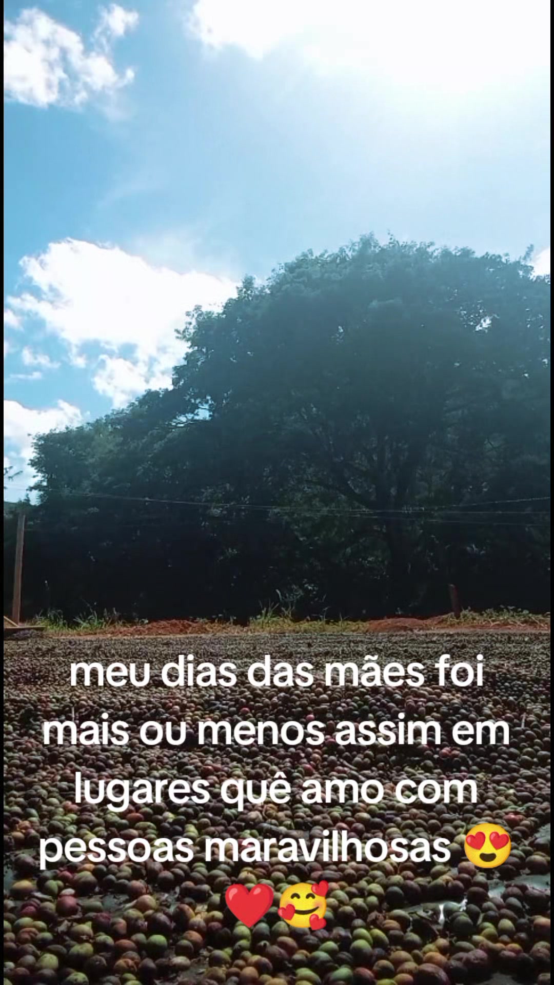 @M&Aacute;RCIA CARVALHO 🙌🏽💫❤️