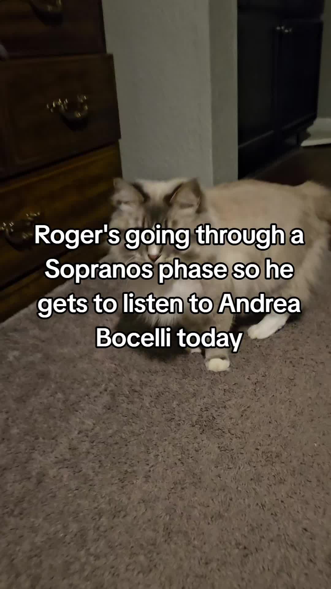 @rogerbiscuits