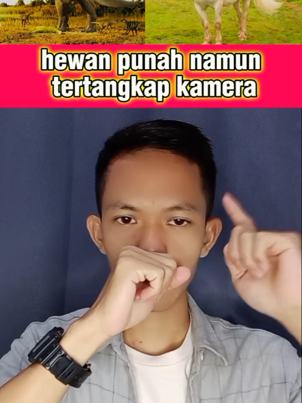 @Fajar Kw