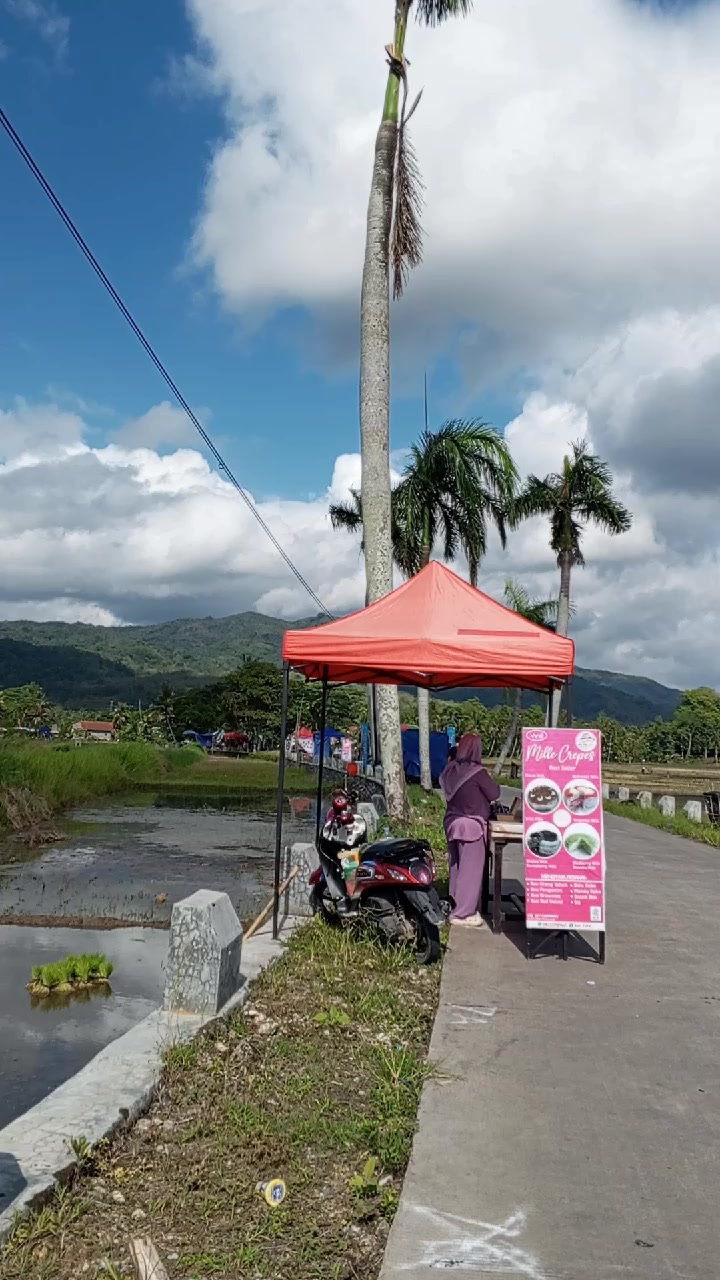@mega mendung