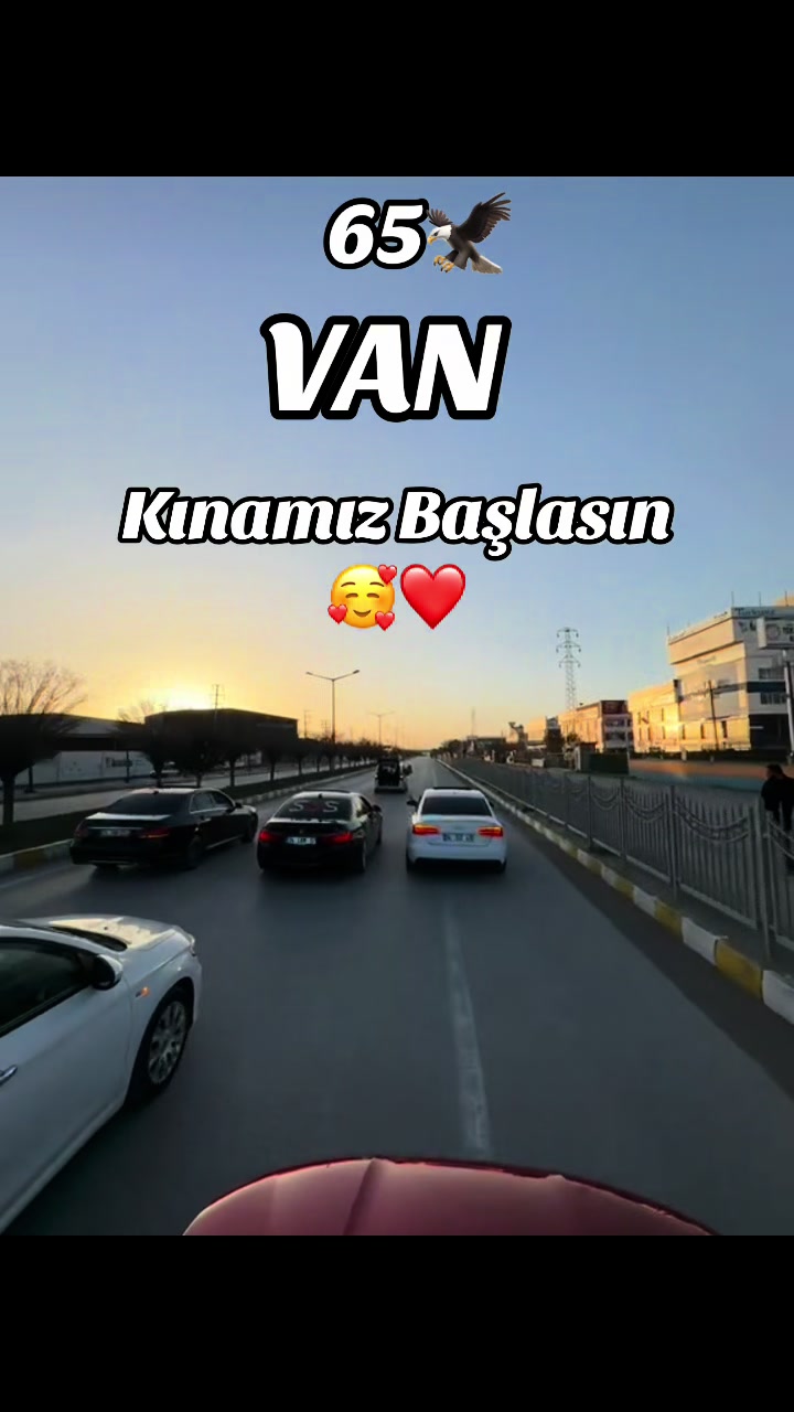 @papatya_65