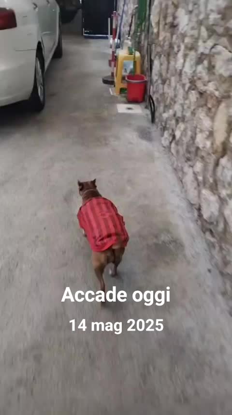 @lucry