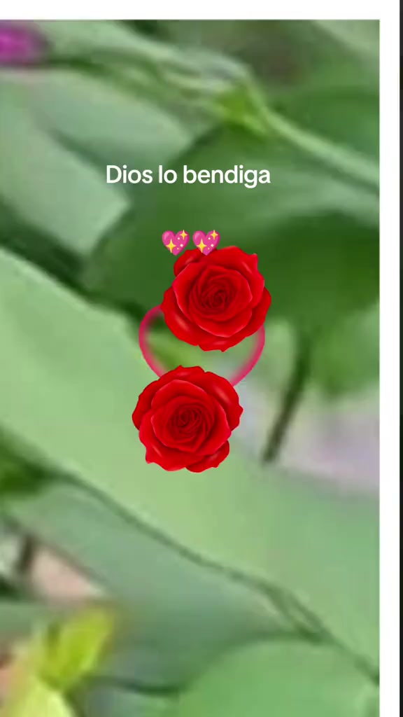 @Dalia Vicente 🍀