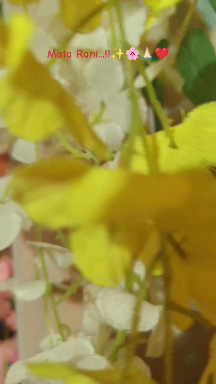 @wtf 𝐑 𝐀 𝐉 𝐄 𝐒 𝐇!_