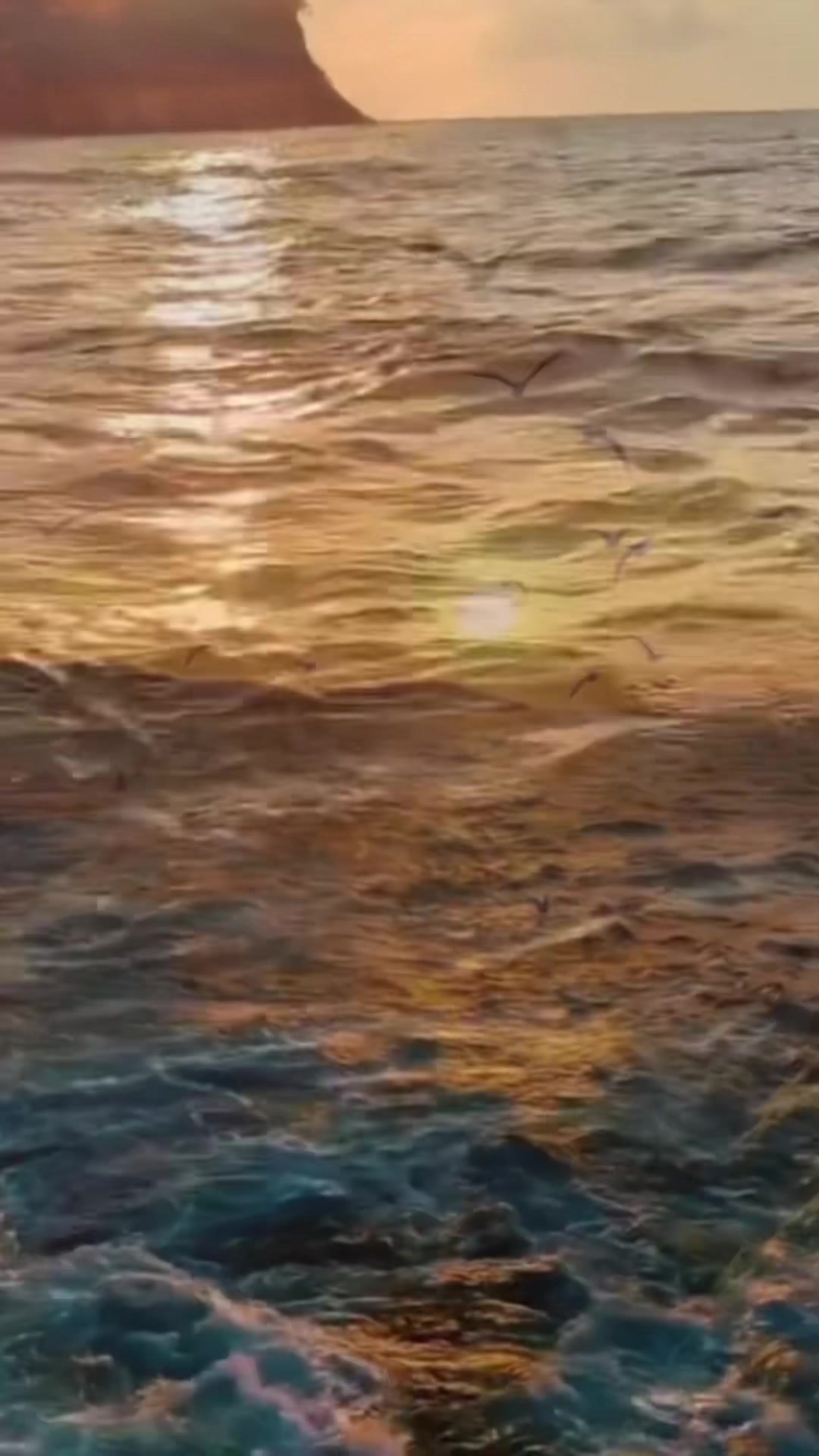 @Raj Kashyap