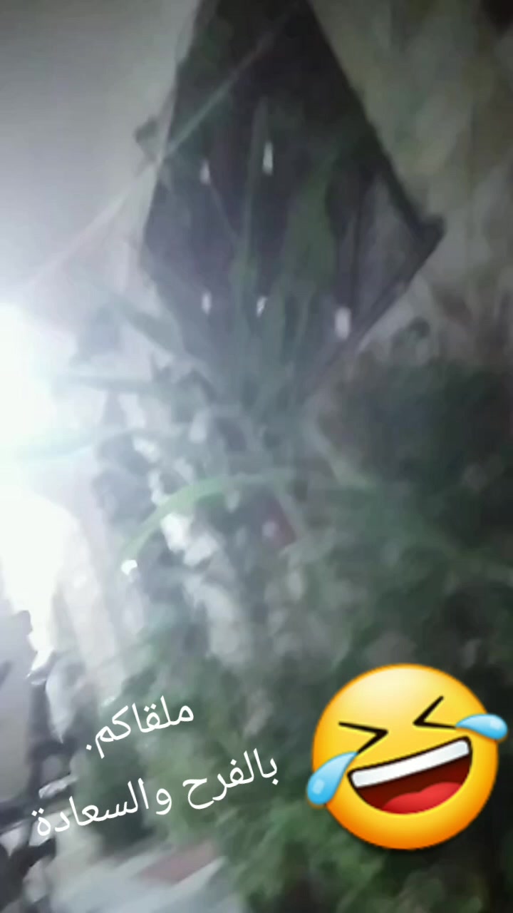 @Abdala Massawi