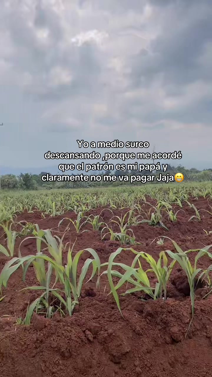 @Anitha Vel&aacute;squez👑🌸