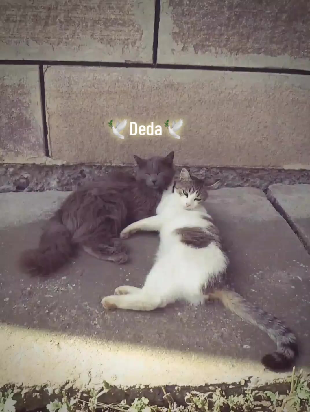 @неда&rsquo;☦︎︎💛