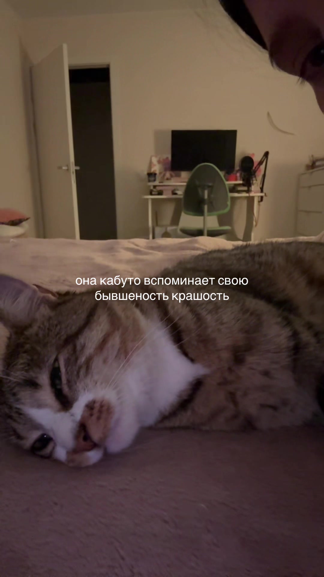 @тгк: @sakurasonya