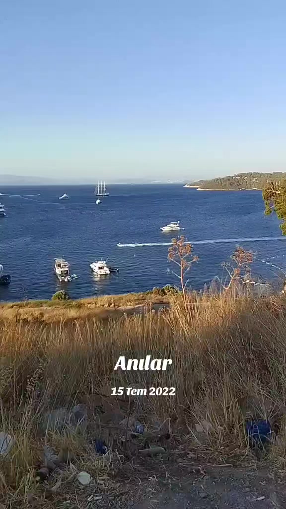 @Dexter_221