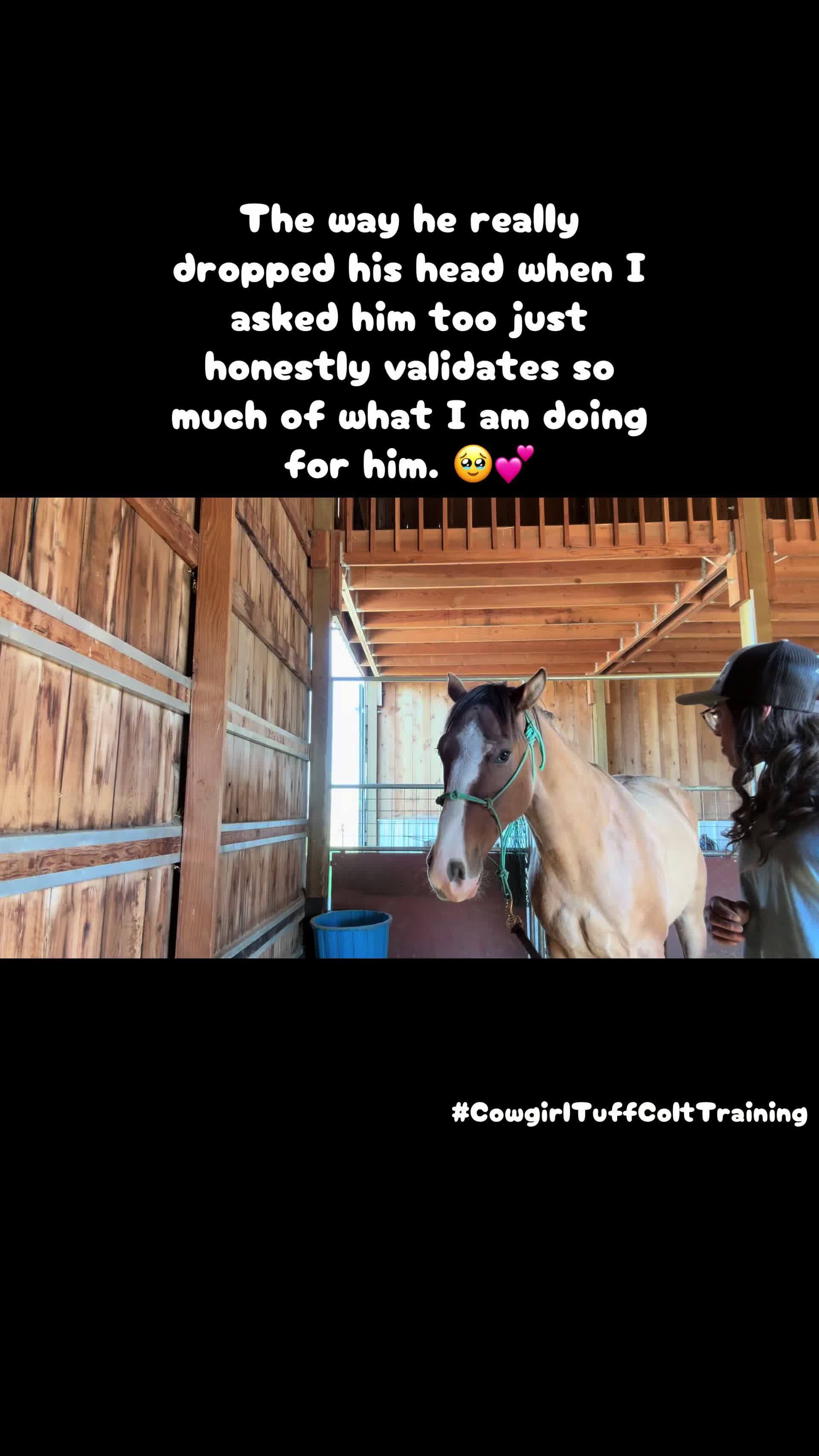 @Cowgirl Tuff Colt Training ❤️