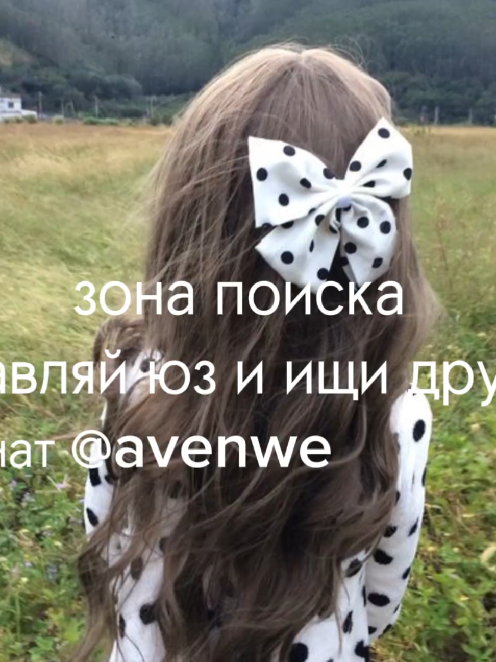 @avenew чат