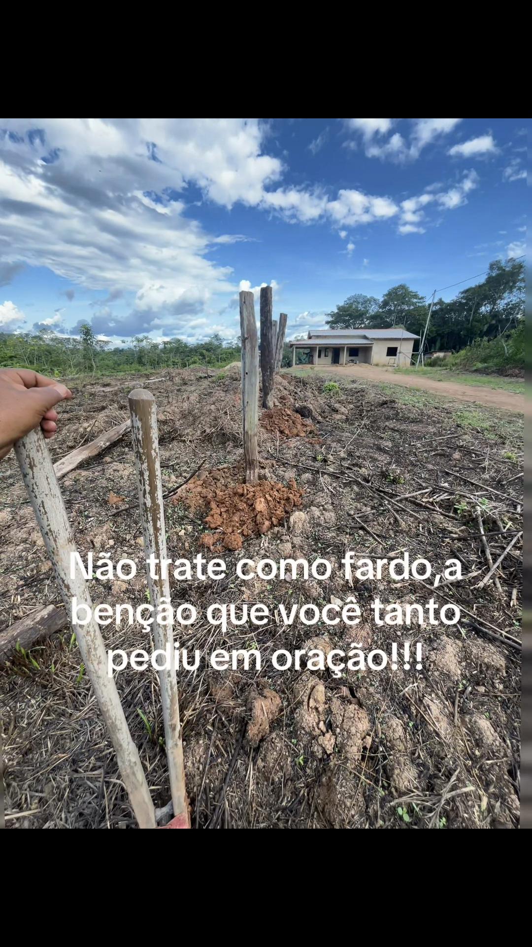 @edilenecoelho