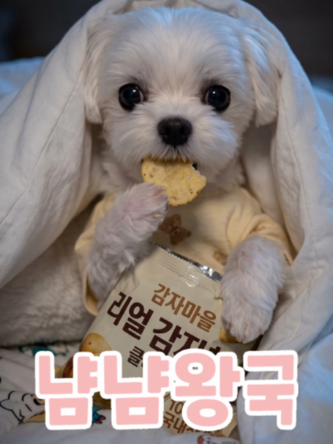 @냠냠왕국
