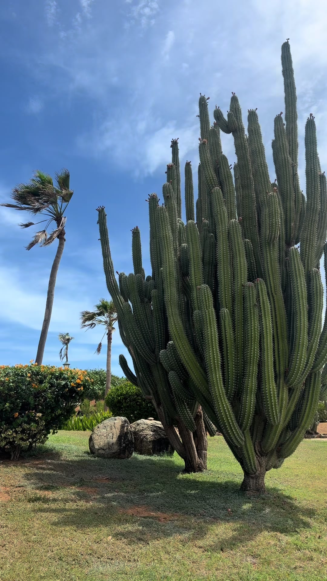 @spaathomearuba