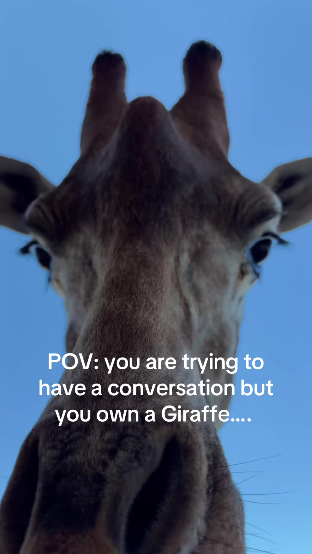 @Kamygrant