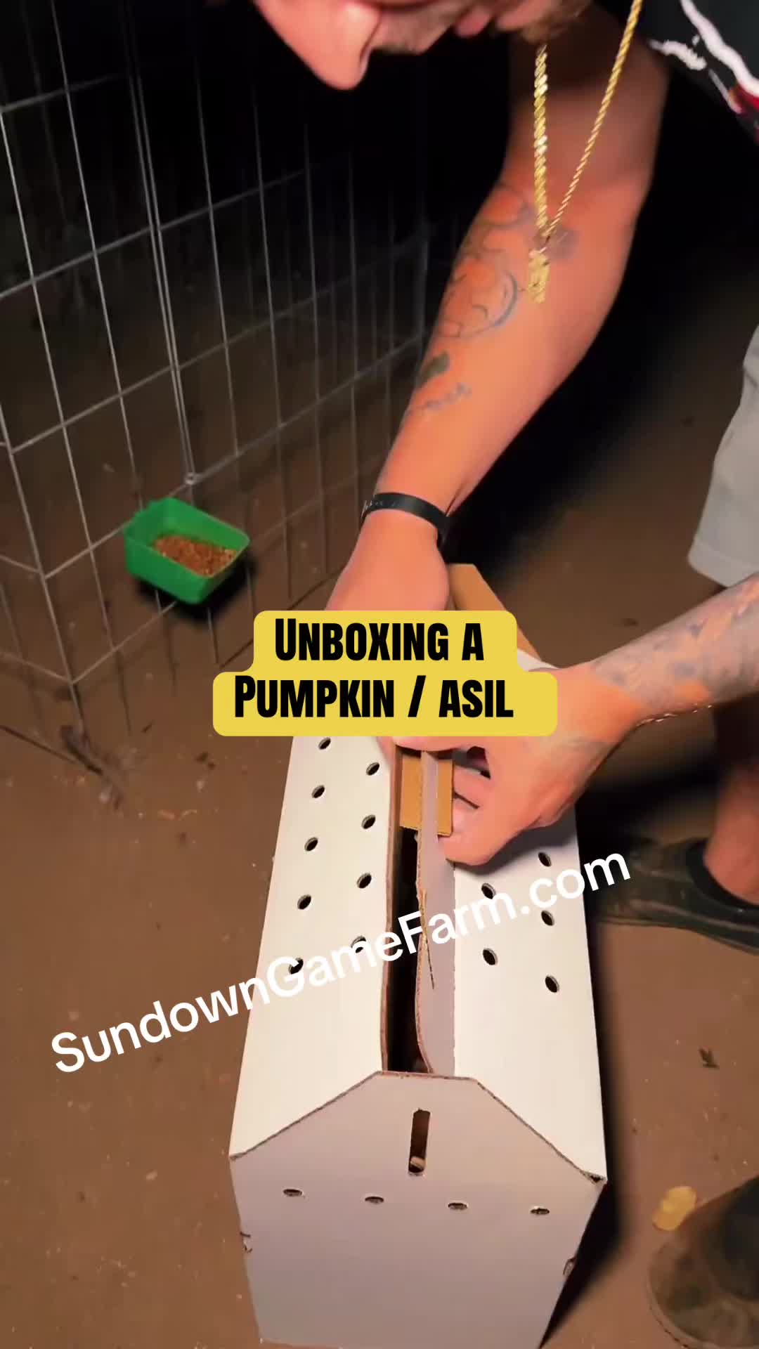 @Sundown Game Farm
