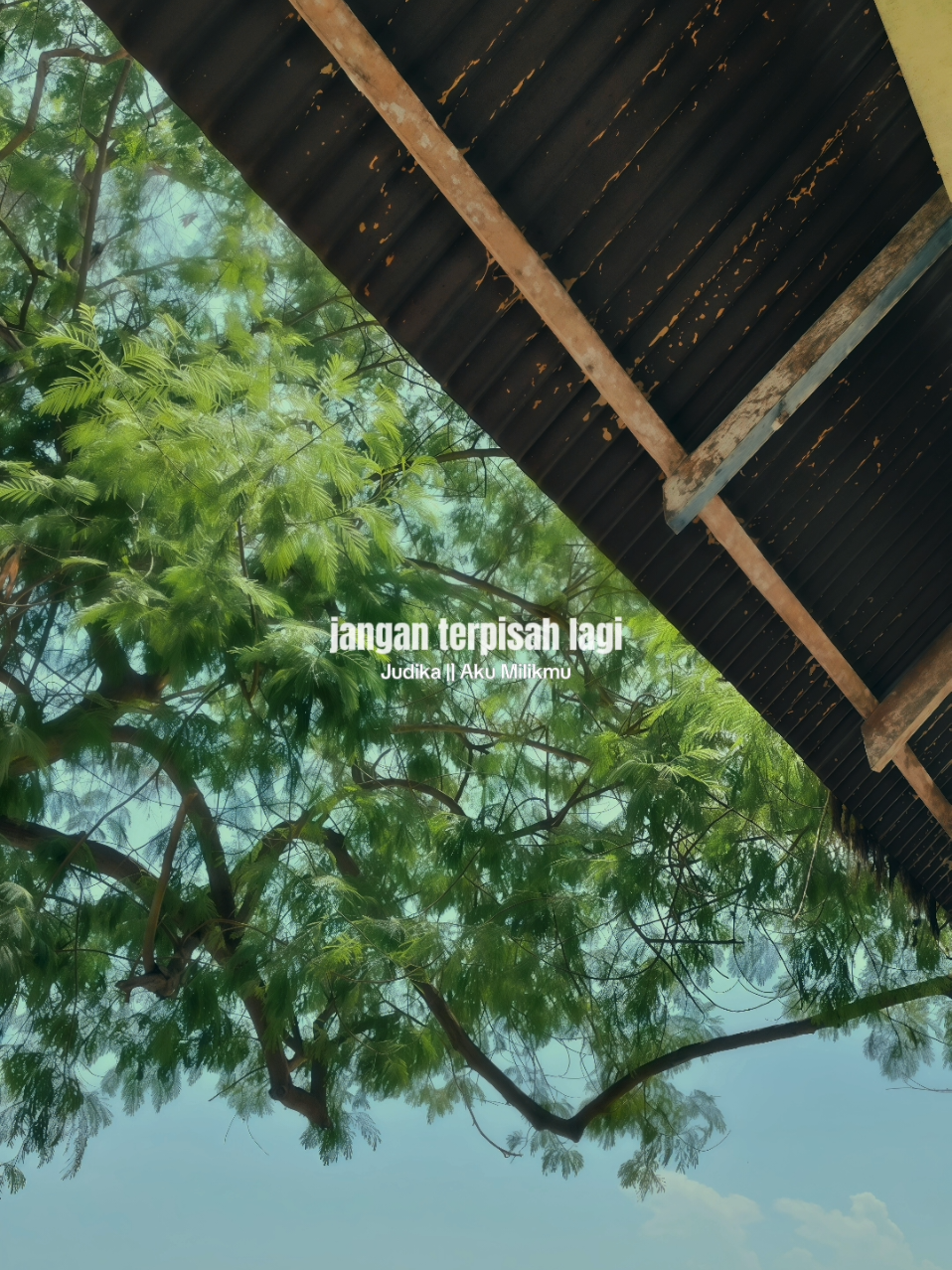 @𝐋𝐢𝐫𝐢𝐤 𝐒𝐞𝐝𝐞𝐫𝐡𝐚𝐧𝐚