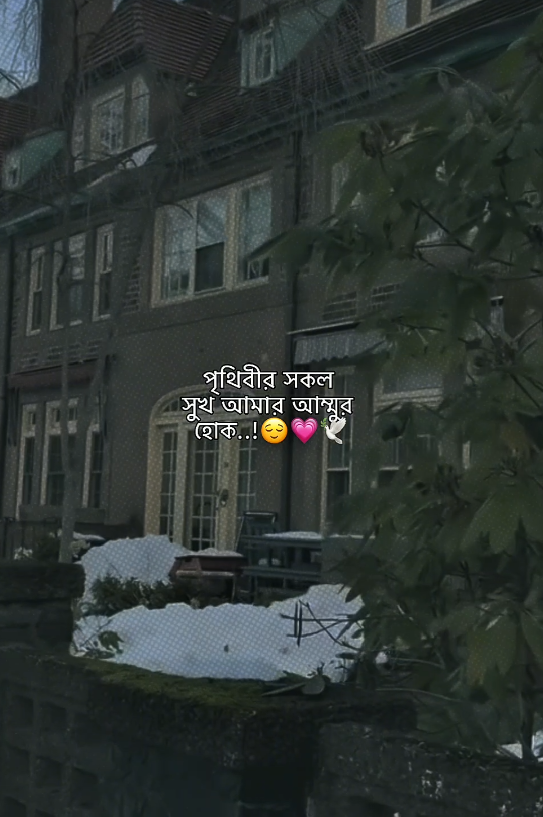 @𝗠𝗮𝘀𝗵𝗮𝗹𝗹𝗮𝗵 𝗔𝗽𝘂'♡︎🌷