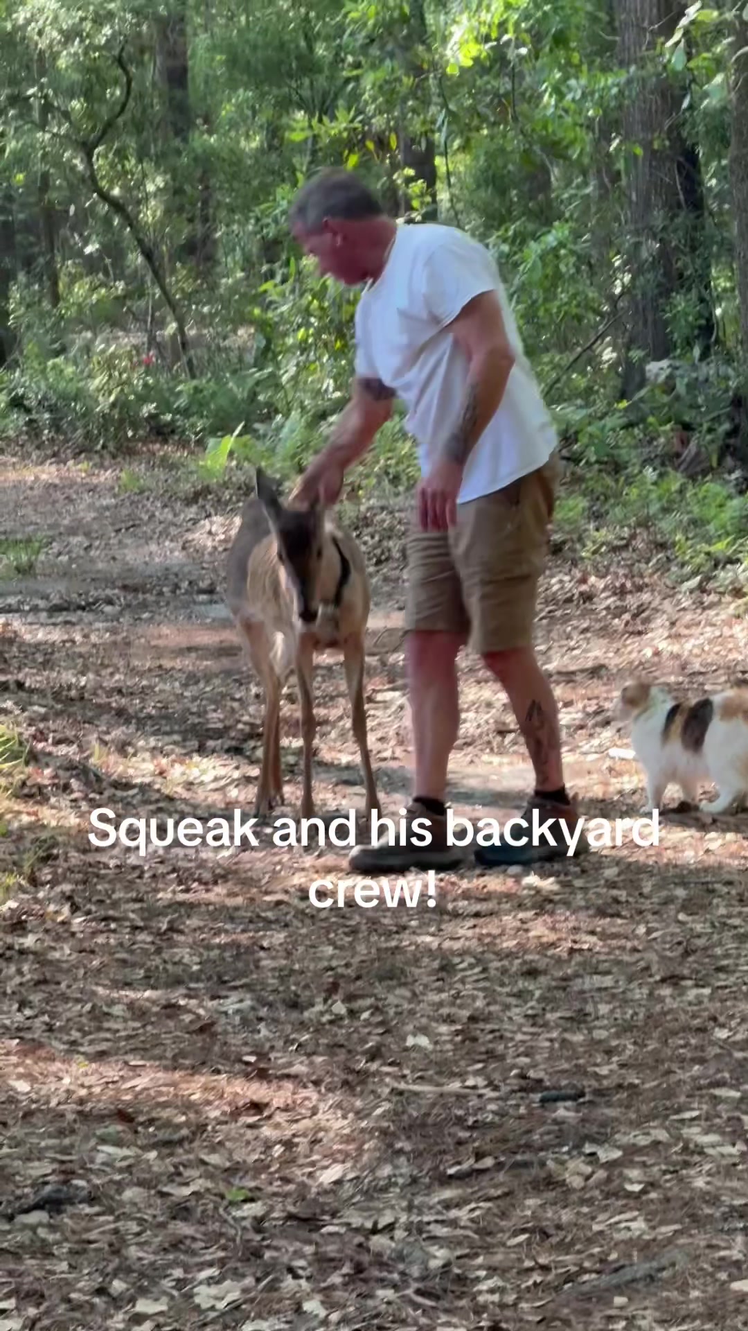 @Critter Kiki
