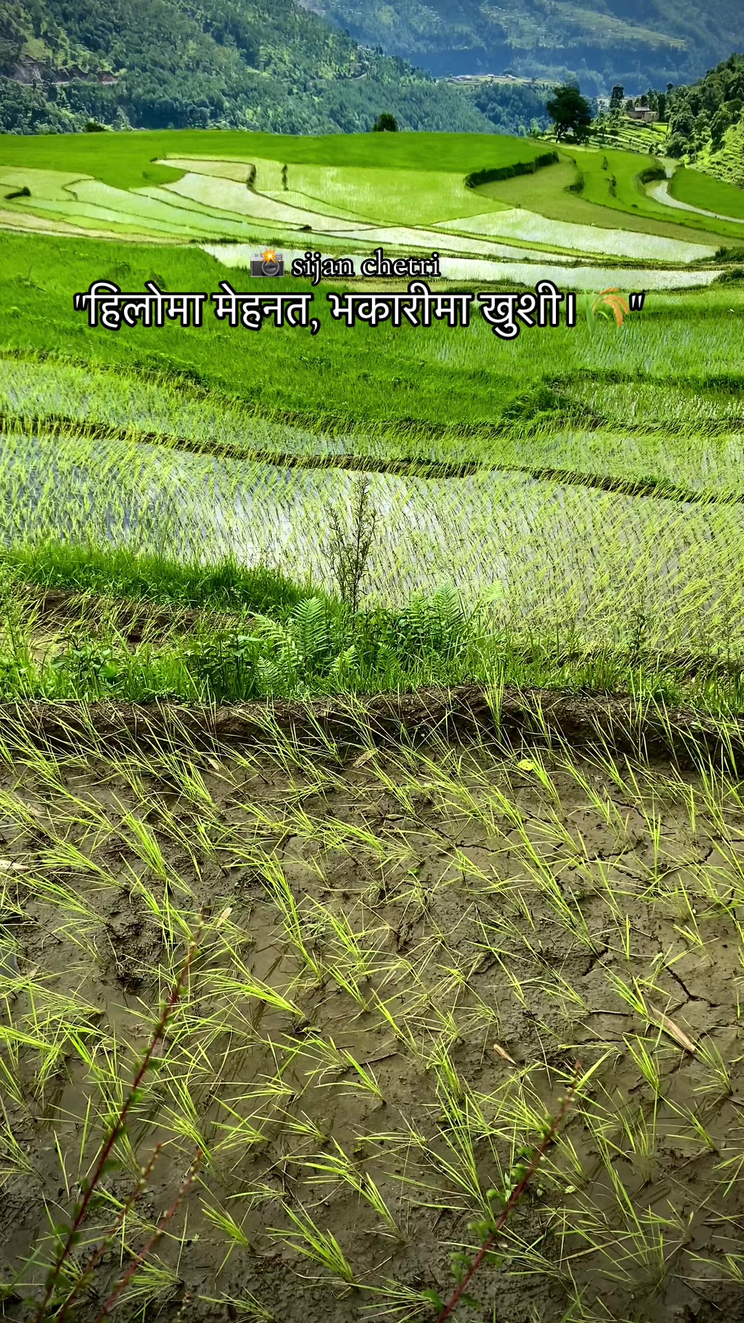 @Sijan Chhetri