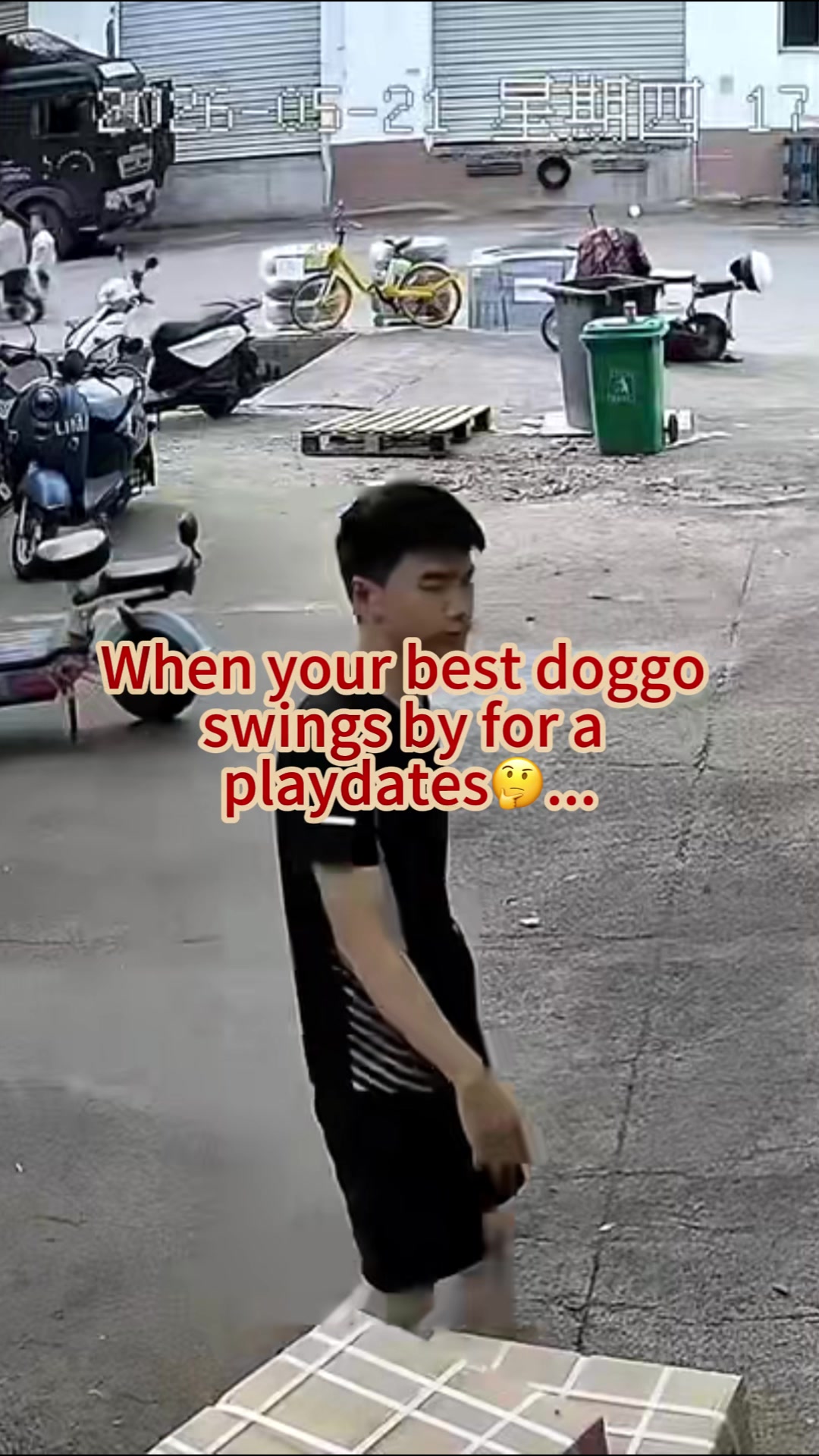 @中国蓝国际
