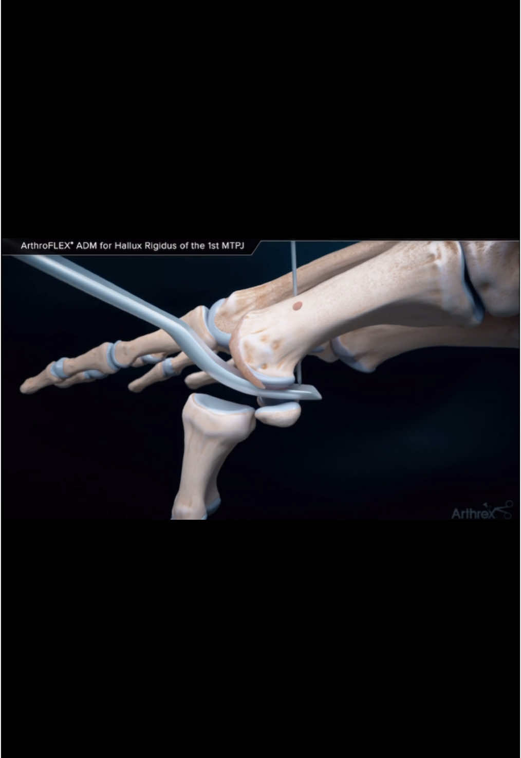 @Anatomias