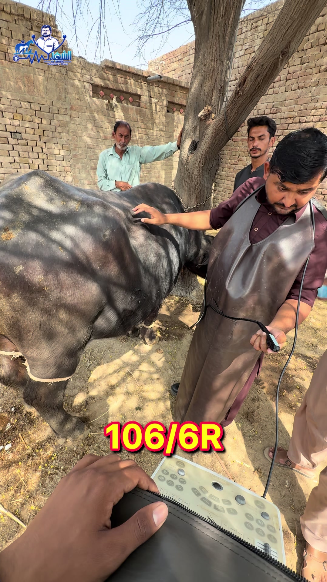 @Dr.Mohsin