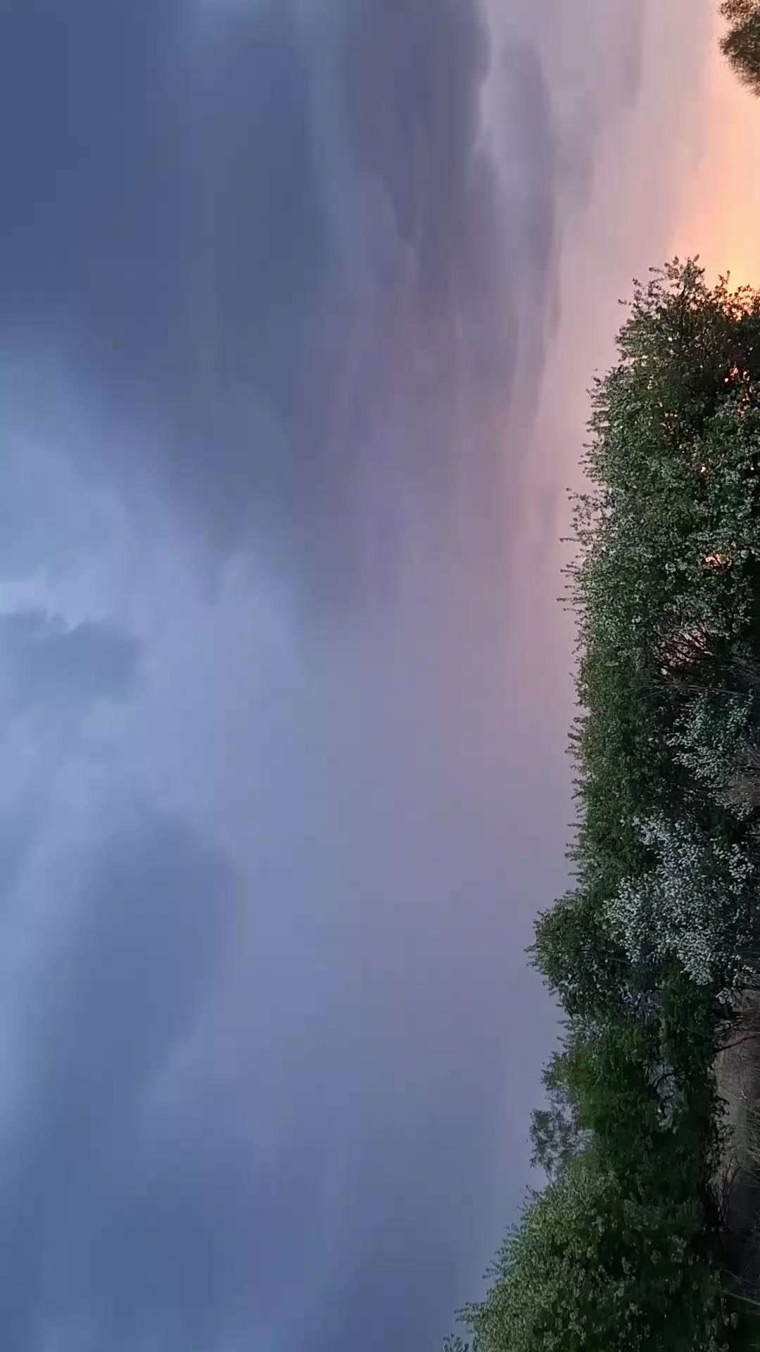 @Анастасия Корчагина