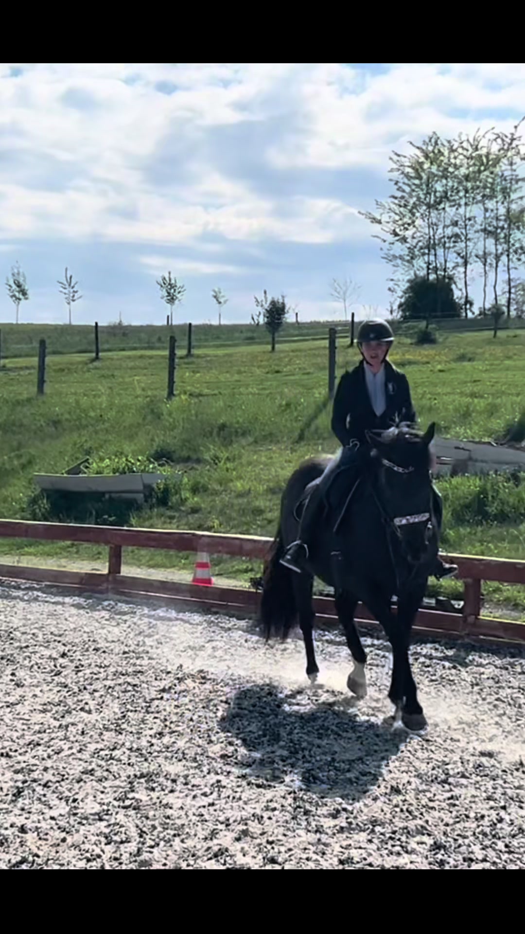 @Aftyn 🐎