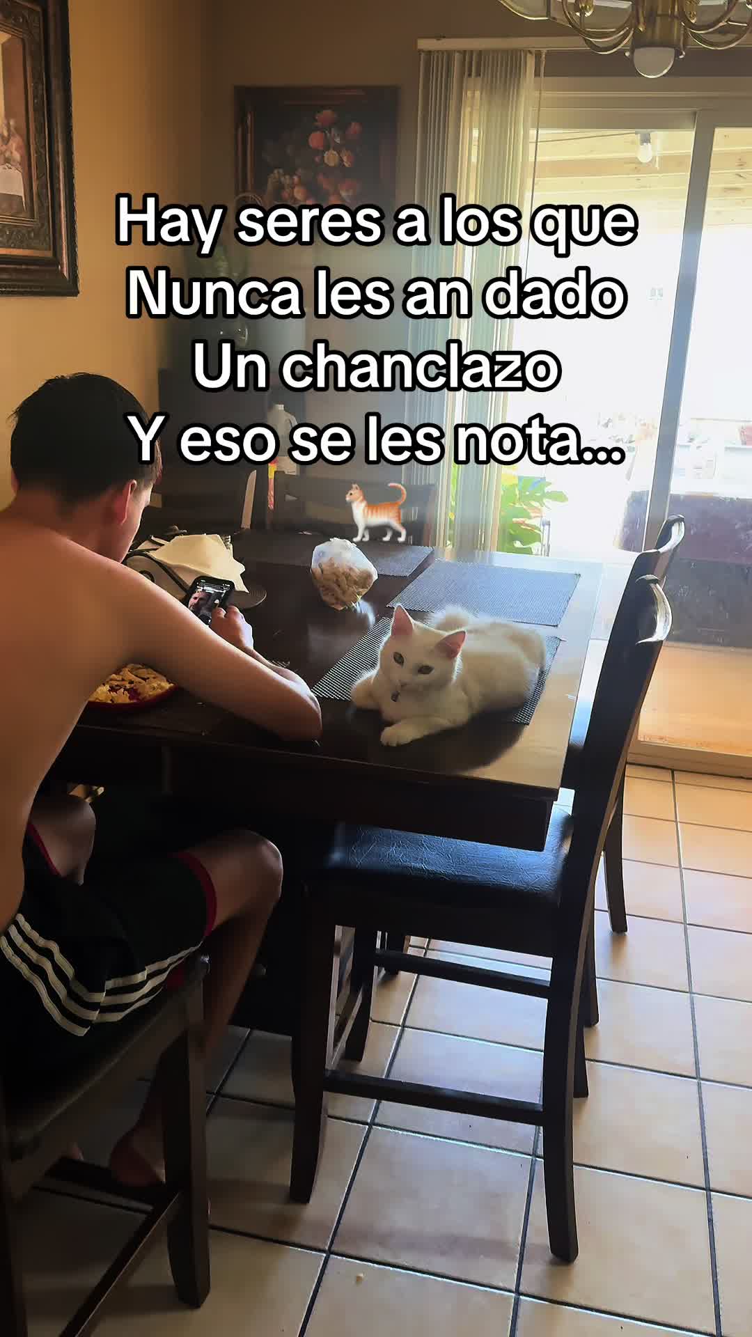 @Claudia