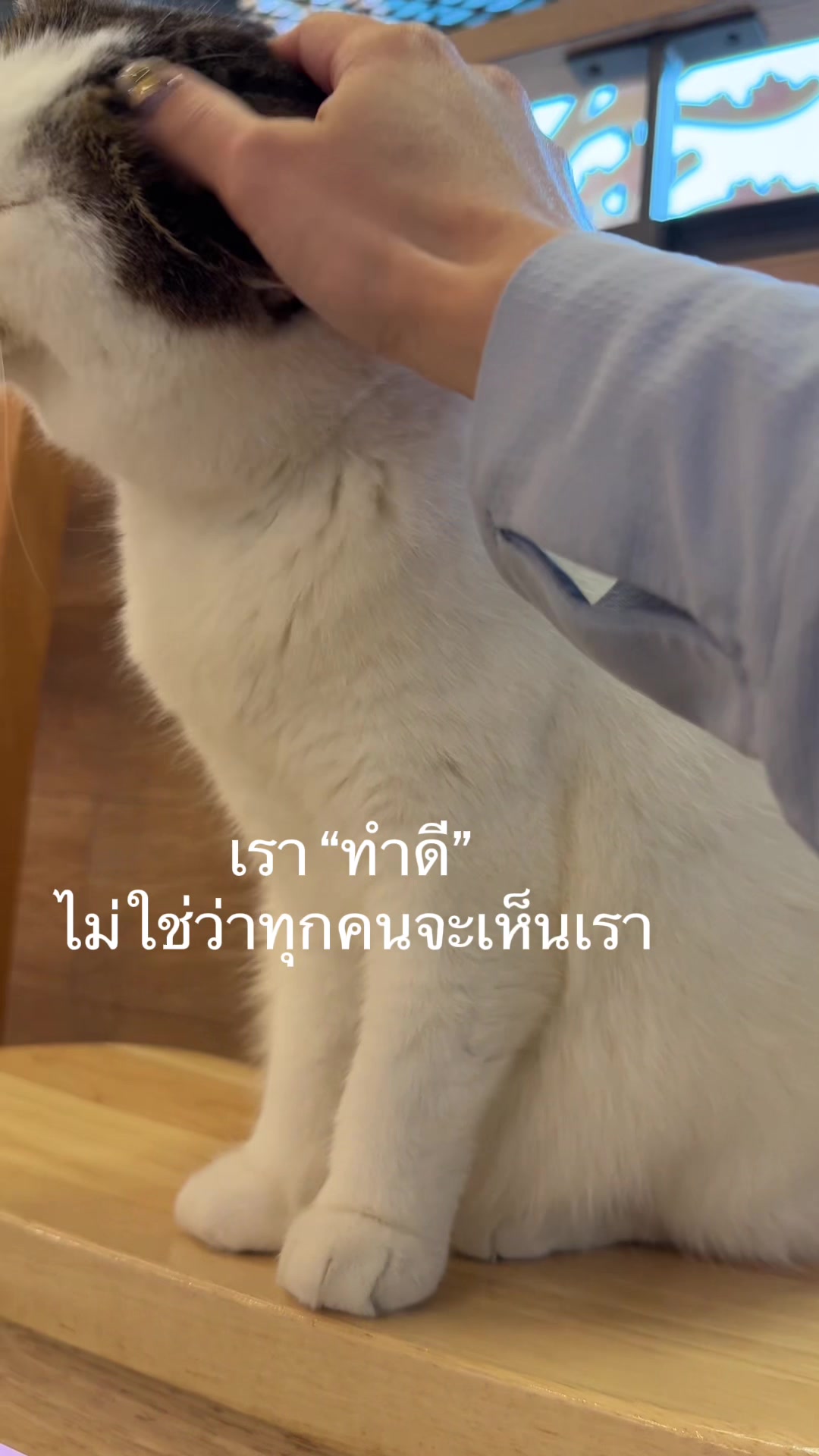 @แอมเพลงขายรถไฟฟ้า