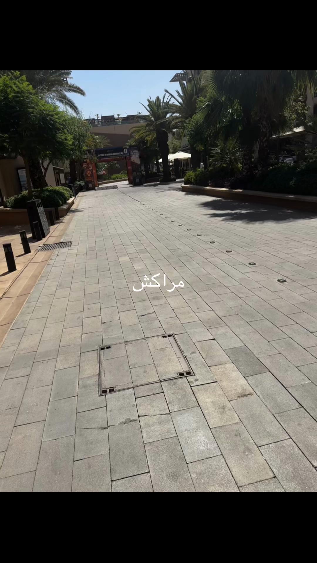 @Najah Marwan