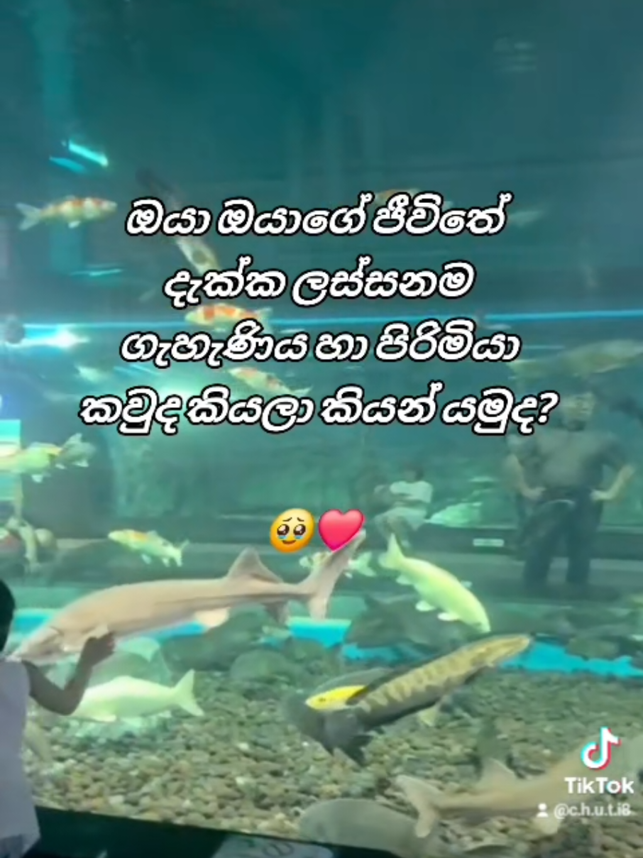 @🇱🇰⃝✮𝐓𝐇🅰️𝐑𝐔✮⃝🇰🇼