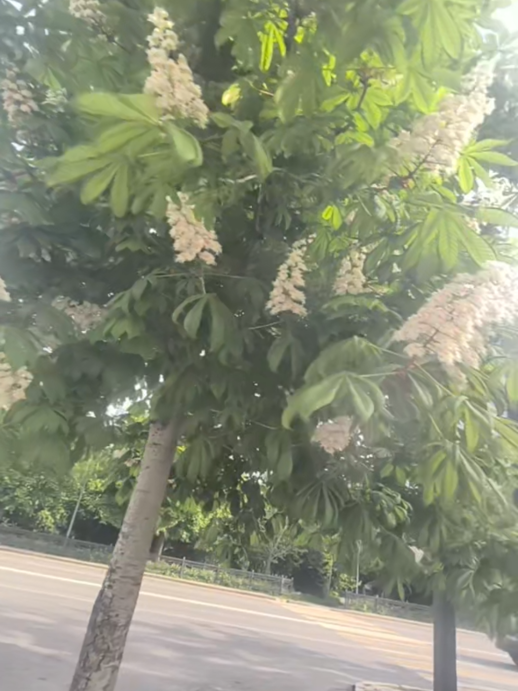 @Любовь Ускова