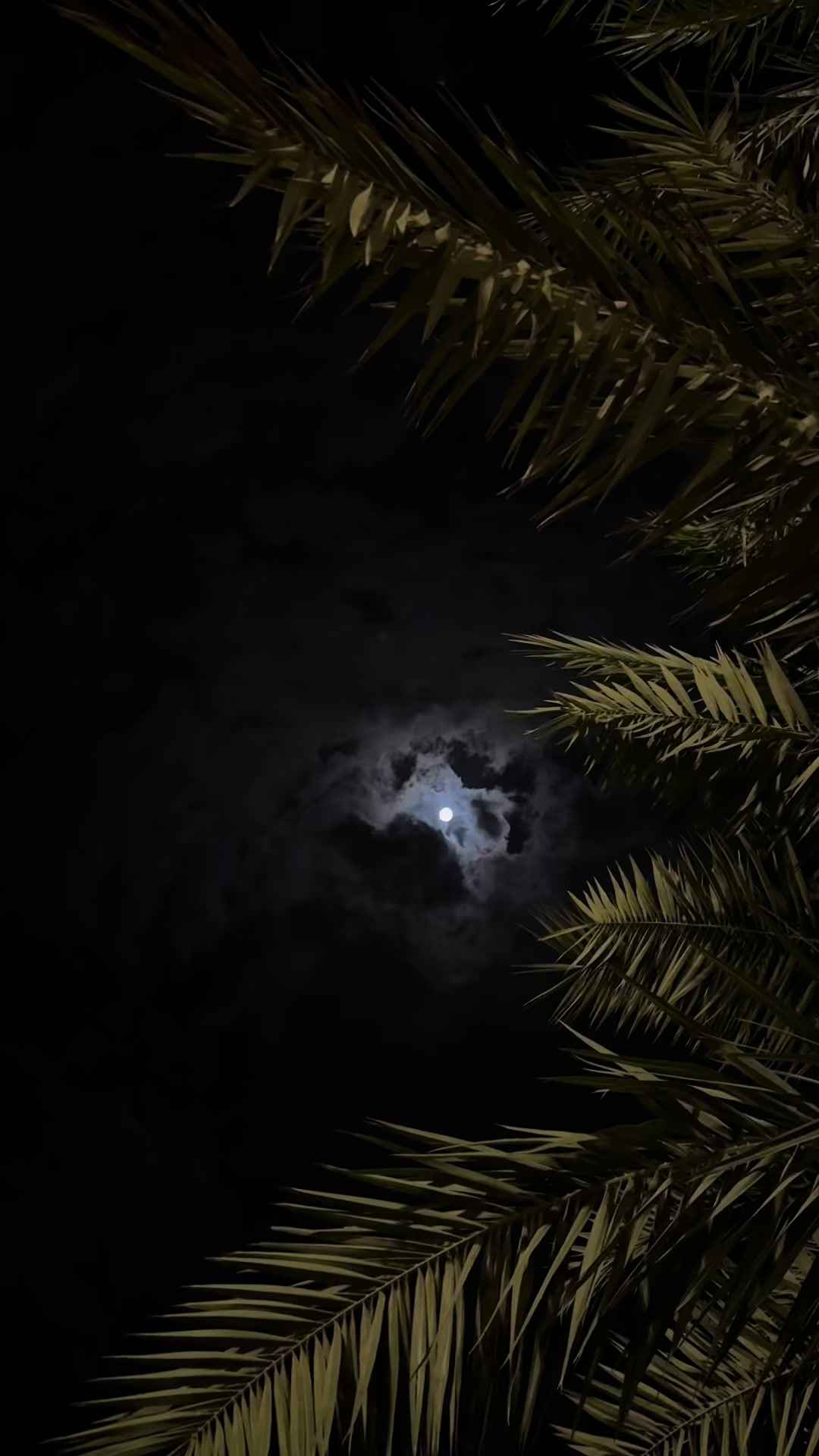 @الهنوف | ينبع 🤍📸