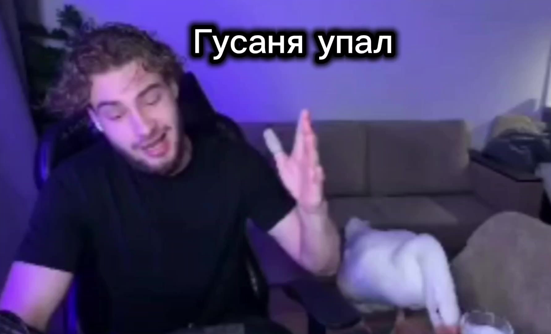@kto kto?