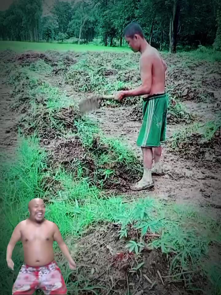 @ရိတ်သိမ်းသမာလေးဘာဗျာ🤫🤫🤫