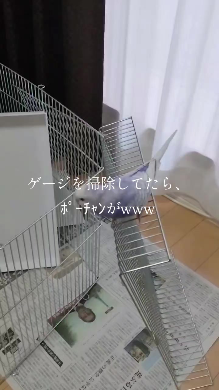 @かっちゃん💥