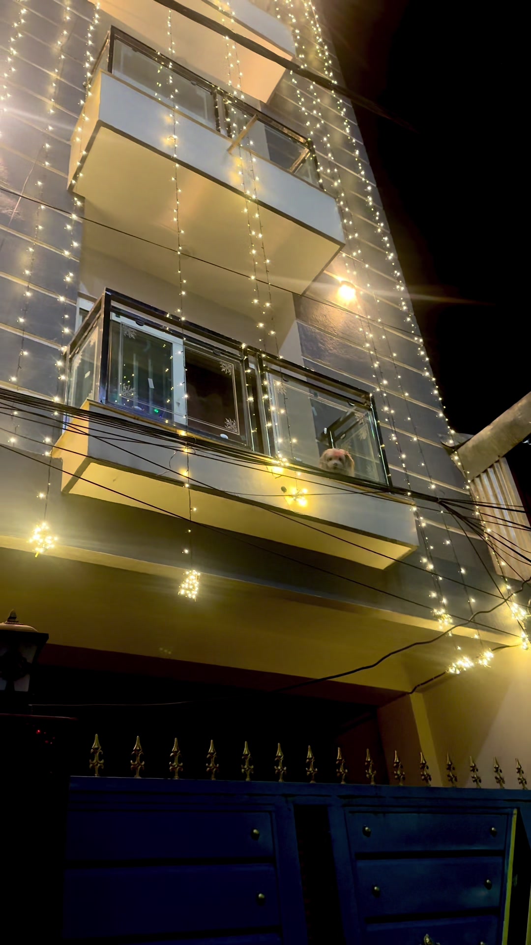 @yasushrestha1