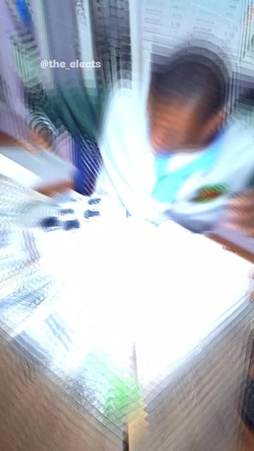 @TheElectsng