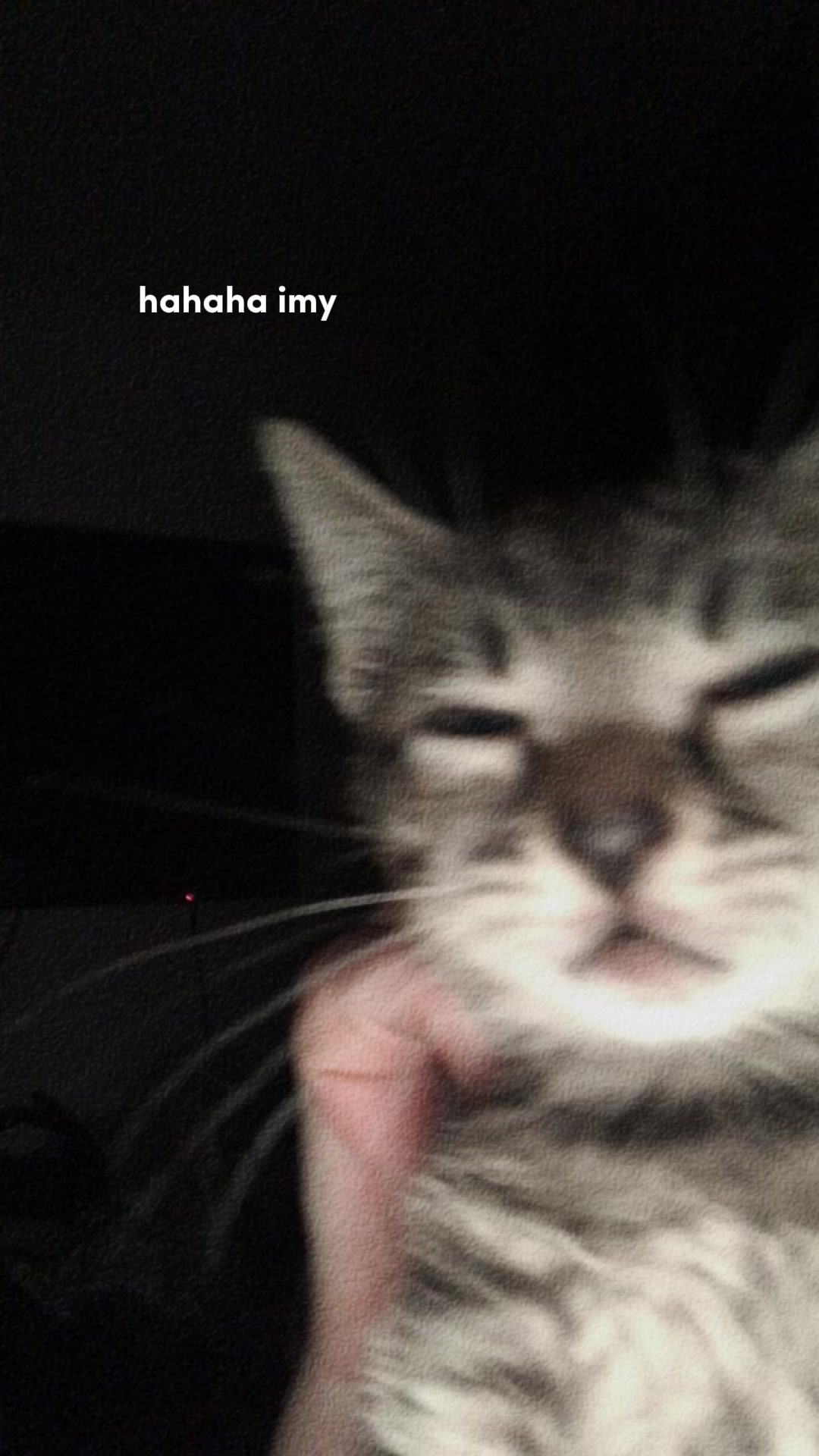 @Juju (🐷)🐈&zwj;⬛