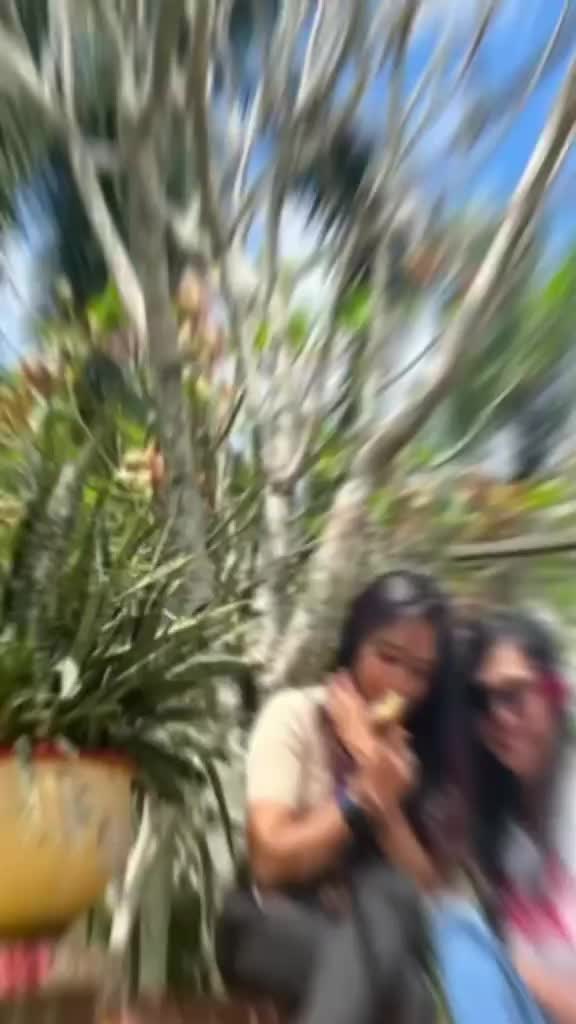 @Alicia08