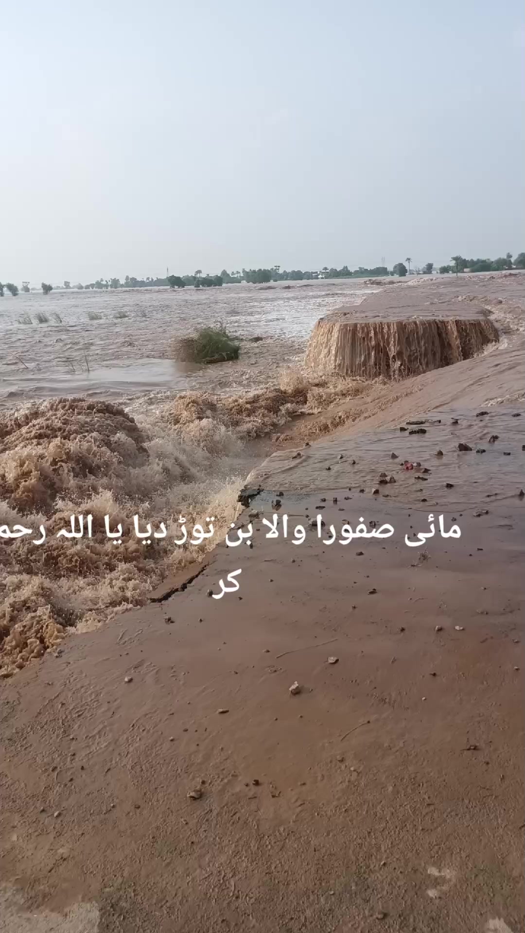 @❤حیــــــدر سیال❤